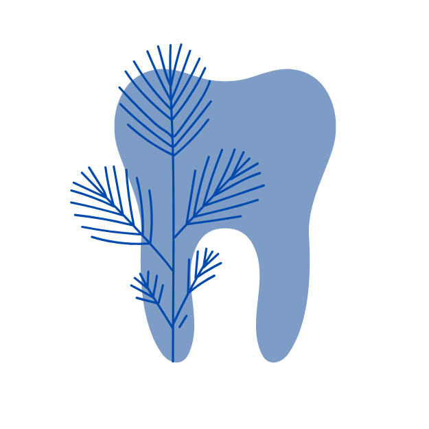 Logo-ul clinicii stomatologice Dr. Adina Sabău Rom&acirc;nia