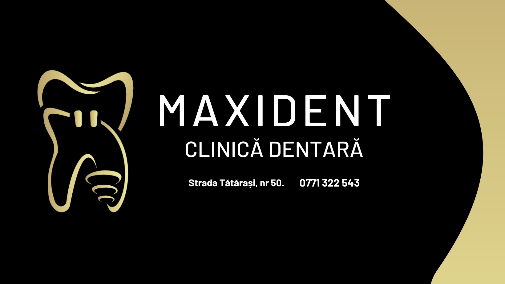 Imagine cover pentru Maxident